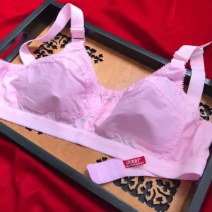 ইন্ডিয়ান গুড্ডি ব্রা ২ পিস
